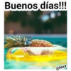 Playita 17