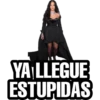 YA LLEGUE
ESTUPIDAS