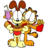 Garfield 19