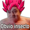 @what:591
Obvio insecto