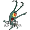 ASI ME
LA PELAS