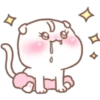 0
기