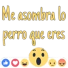 Reacciones 17