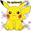 Pokemon 13