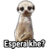♧Criaturas Memosas♧ 24