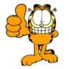 Garfield 23