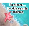 Playita 22
