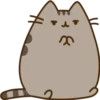 Pusheen Expressions 22