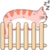 Gato Sonolento