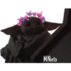 MNieto