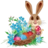 Easter bunny with eggs 14