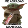 Baby Yoda en Argentina 30