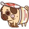 PUPNOODLE