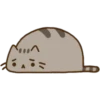 Pusheen Expressions 27