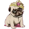 PUG 5