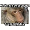 Monitos Troleadores 7