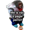 Monitos Troleadores 8