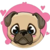 PUG 8