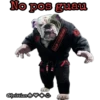 Hibridos 11