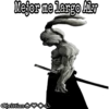 Hibridos 13