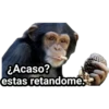 Monitos Troleadores 9