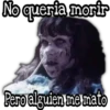 No Dormiras 14