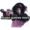 Monitos Troleadores 11