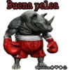 Hibridos 17