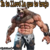 Hibridos 19
