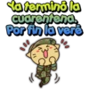 Gatitos romanticosones 15