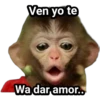 Monitos Troleadores 15