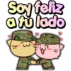 Gatitos romanticosones 18