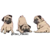 @V3RO_V3RONI