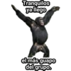 Monitos Troleadores 16