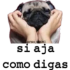 @V3RO_V RONI
si aja
como digas