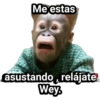 Monitos Troleadores 18