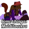 Como chingas Maldita zorra