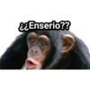 Monitos Troleadores 19