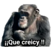 Monitos Troleadores 20