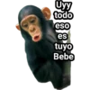 Monitos Troleadores 21