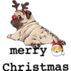 @V3RO_V3RONI,
merry
Christmas