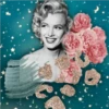 Marilyn Monroe 6