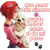que amor
tan sincero
puede
haber
como
el de mi
perro
cokki