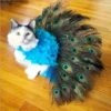 gatos divertidos 10