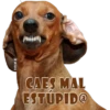 Perros Groseros 1 Para Pelea 6
