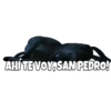 AHÍTE VOY SAN PEDRO!