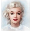 Marilyn Monroe 11