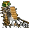 hadderbonilla
Ya ni
animos ahi