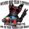 Perros Groseros 1 Para Pelea 9