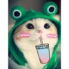 gatos divertidos 14